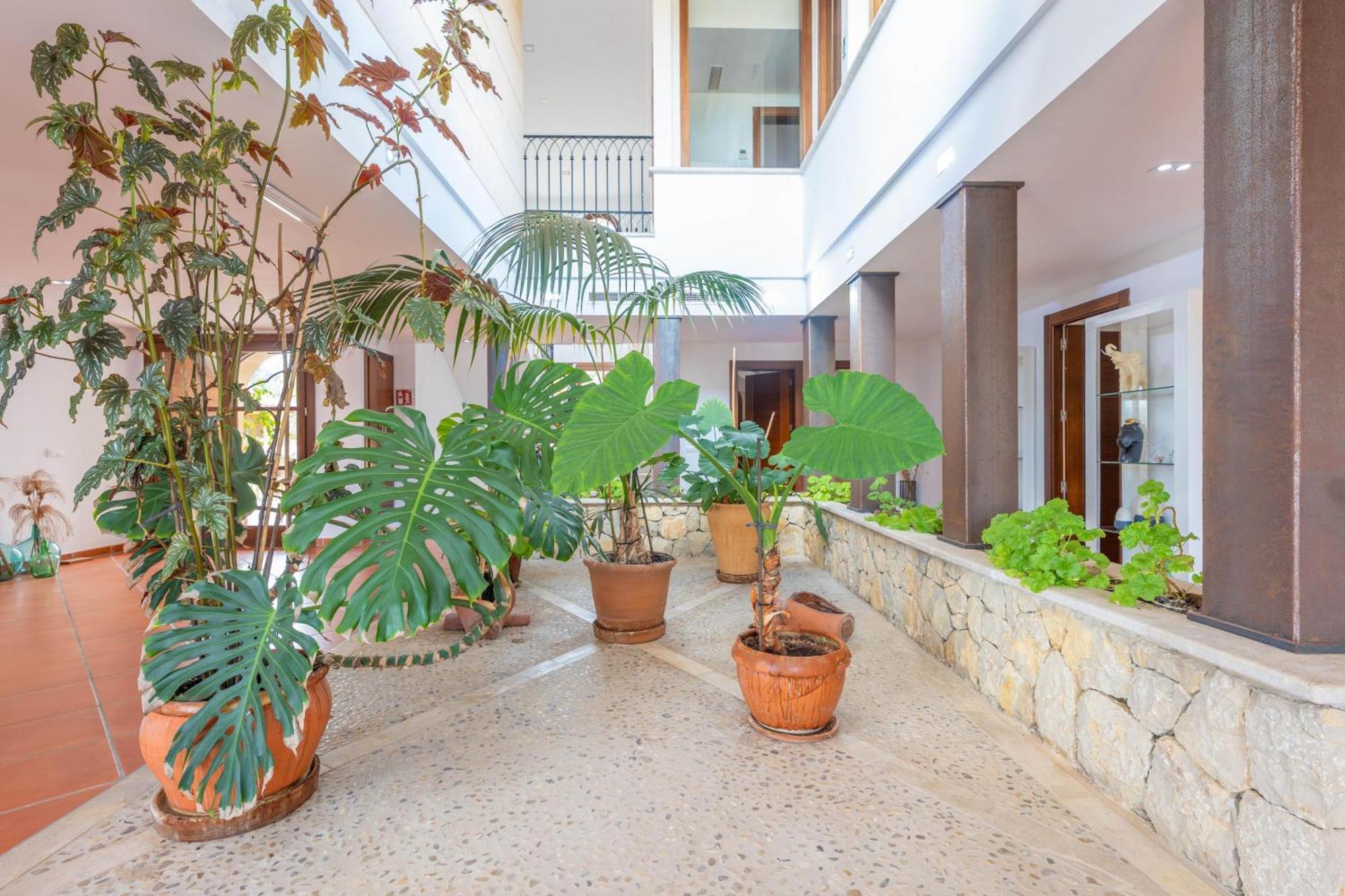 Turixant Dalt Villa Mancor del Valle